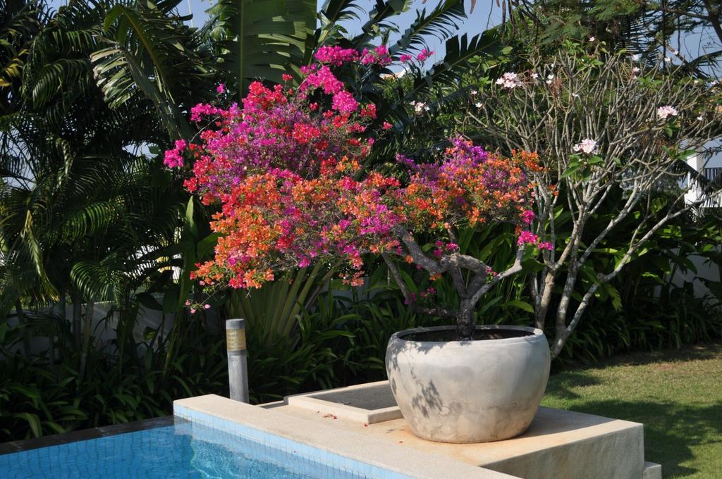 Balinese Villa With Private Pool HHQ Exteriör bild